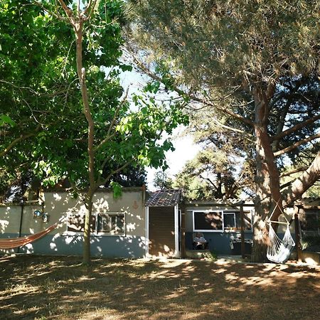 Kalliopi Limnos Stone Houseヴィラ エクステリア 写真